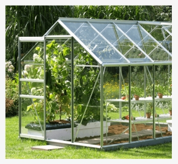 The Advantages Of Building A Greenhouse post thumbnail image