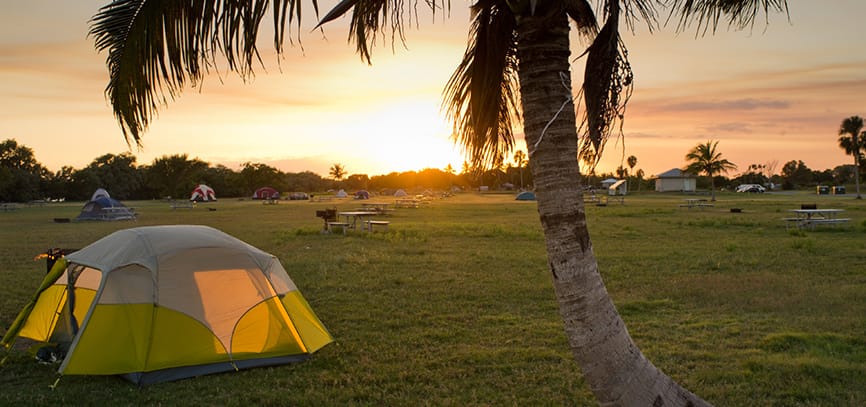 Take a Trip to the Florida Keys For A Camping Adventure Filled With Sea Life post thumbnail image