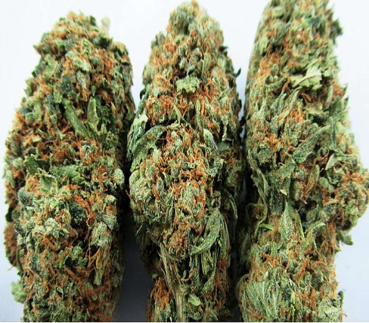The Weed Online – Benefits Availed, Reasons To Prefer And More! post thumbnail image