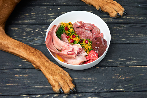 Understanding Raw Protein Sources in raw dog food diets post thumbnail image