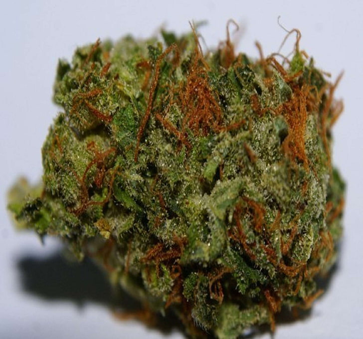 Marijuana – Would It Be Beneficial For The People? post thumbnail image