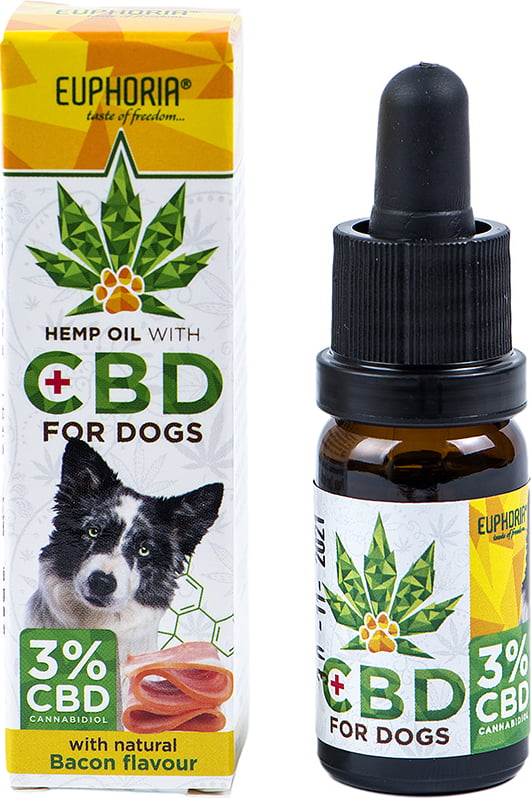 A useful guide about the CBD products post thumbnail image