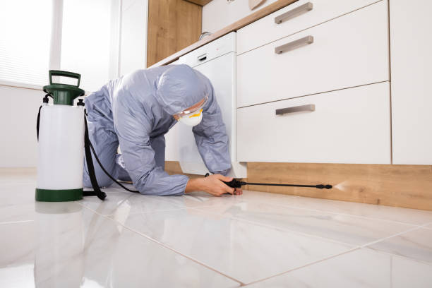 Find the Right Solution for Your Unique Situation – Quality Pest Control Services in Las Vegas post thumbnail image