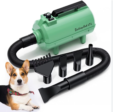 Find out what will make a dog blow dryer the best purchase alternative post thumbnail image