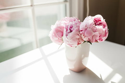 Brighten Up Your Day with Peonies Delivery from NYC post thumbnail image