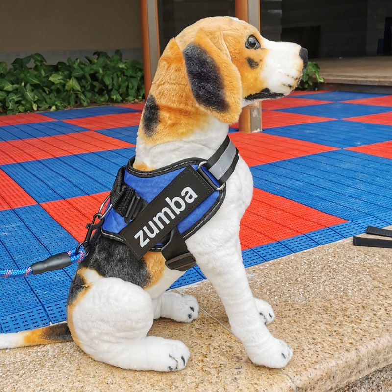 What In Case You Look at When Selecting A No Pull Dog Harness? post thumbnail image