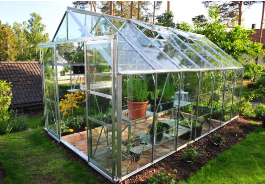 Get pleasure from Expanding in the Quality Greenhouse: Discover Bargains Right here! post thumbnail image