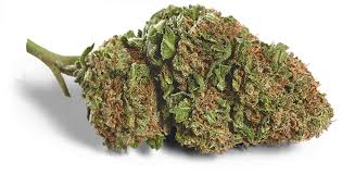 great approaches to purchase weed online post thumbnail image