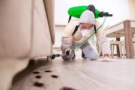 Update Your Property to Keep Unwanted Pests Out – Las Vegas post thumbnail image