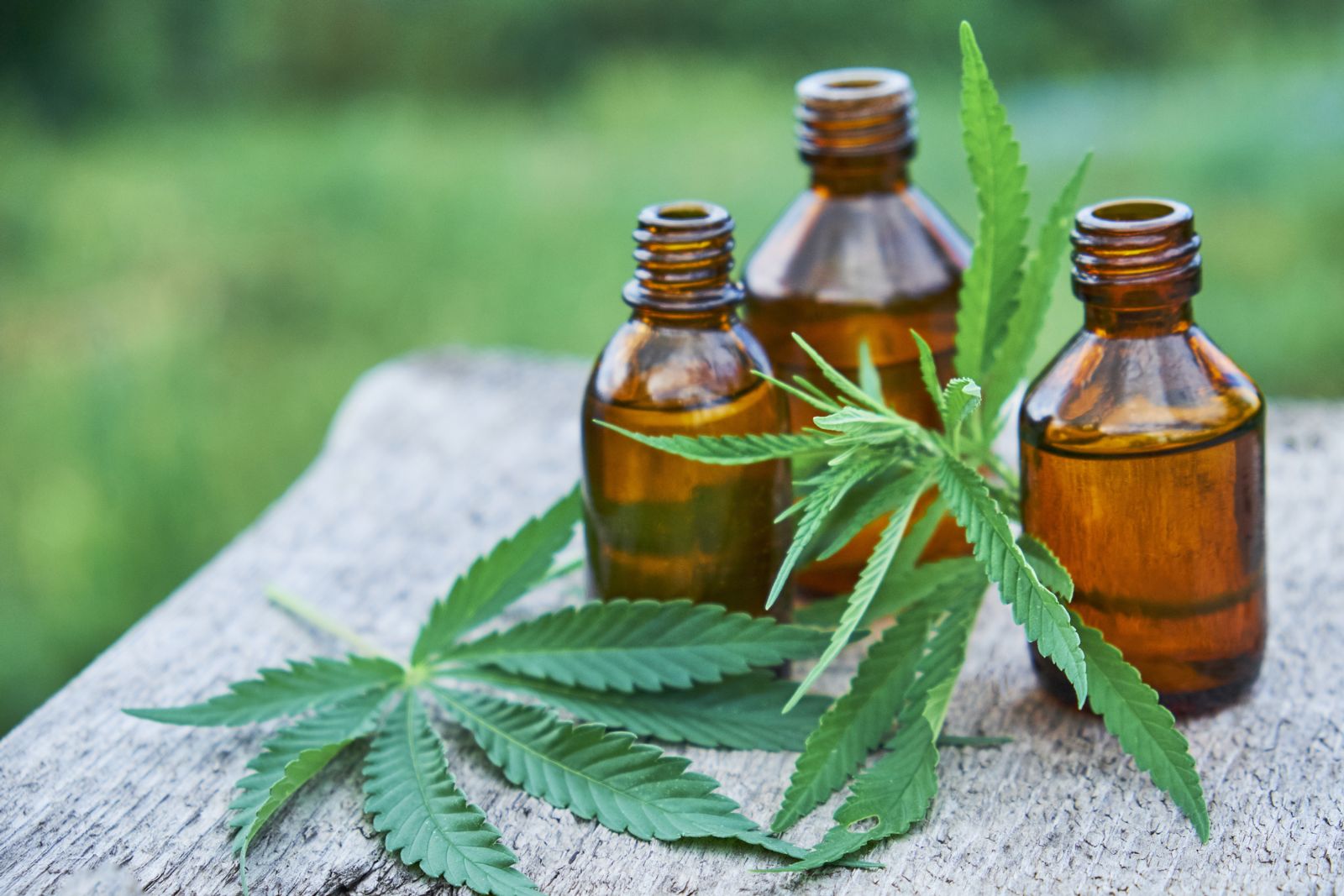 CBD oil for pain Relief: What You Should Know post thumbnail image