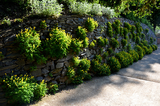 Enhancing Your Property with Innovative landscape Design Solutions post thumbnail image
