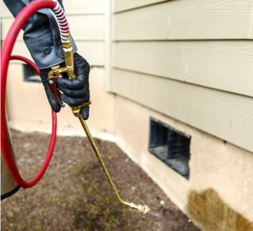 Cost of Pest control Las Vegas Las Vegas: What to Expect post thumbnail image