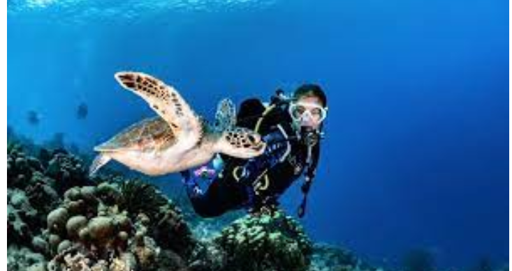 Dive into Paradise: Unveiling the Wonders of Scuba Diving in Phuket post thumbnail image