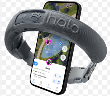 Discovering the Benefits of the Halo Dog Collar post thumbnail image