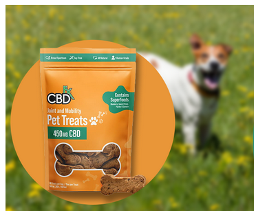 CBD Dog Treats: Supporting Canine Mental Health post thumbnail image